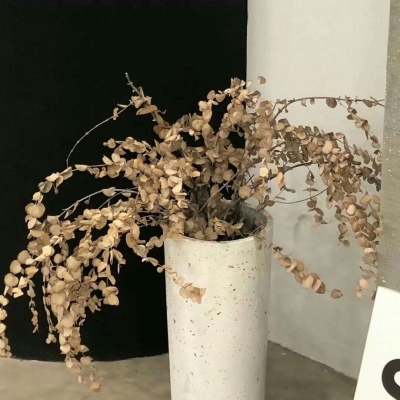 Furry绘画构图指南FurryQQ群